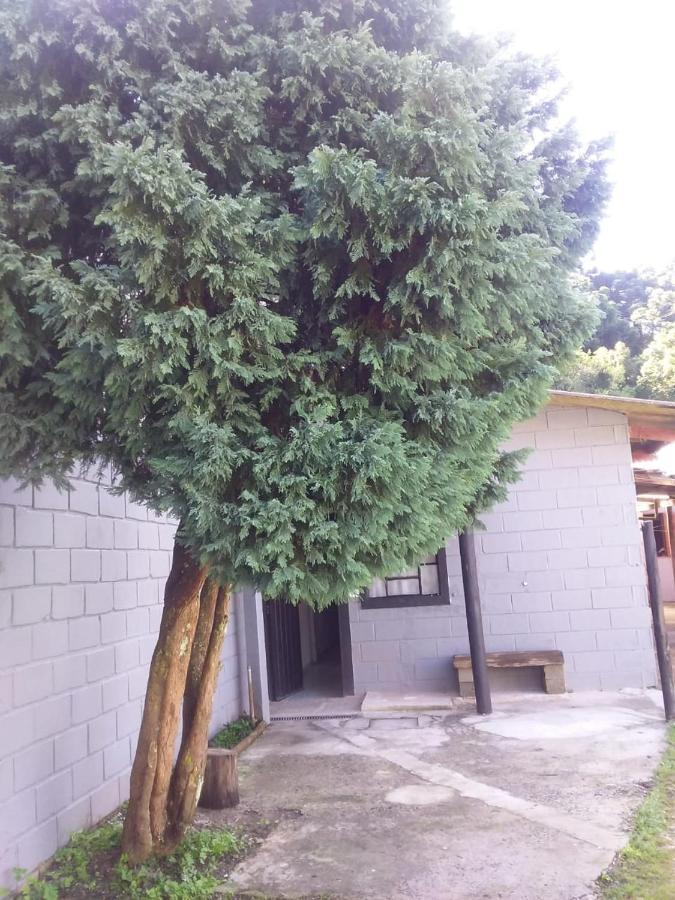 Kitnet Recanto De Campos-Pertinho Do Centro Villa Campos do Jordão Eksteriør bilde